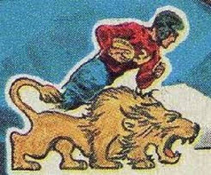 Lions4.jpg.75d4371855b8a66b280f81497b3543ca.jpg