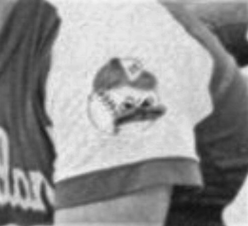 1979464562_HHSBaseballSleeveLogo-2.jpg.aba994799d34cfa89f6c41f9b4e238b0.jpg
