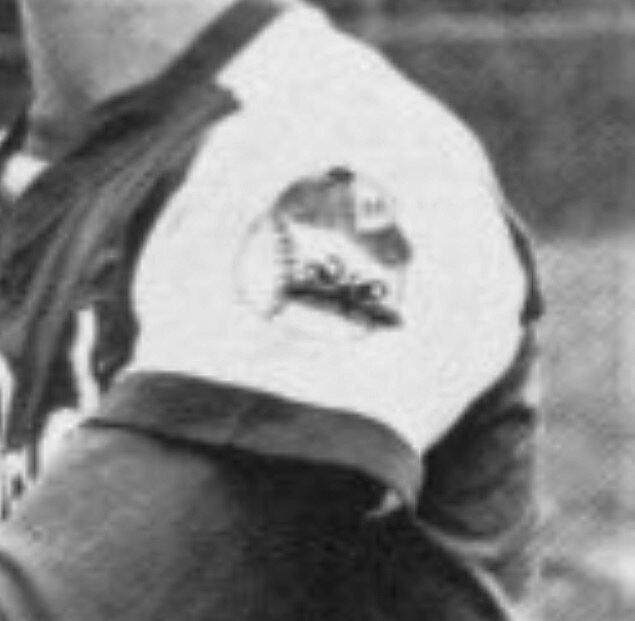 2135361429_HHSBaseballSleeveLogo-3.jpg.ff73b704354b4734cf3b386725a02cbf.jpg