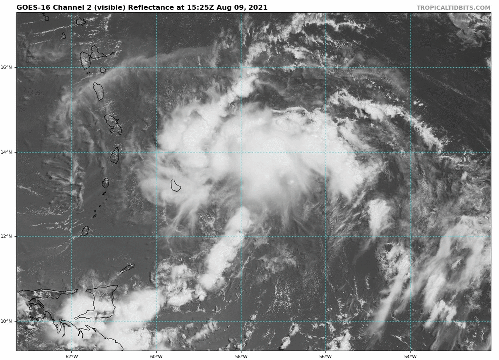goes16_vis_94L_202108091525.thumb.gif.82dd9ecc17ffa166c9e6c95230e54cec.gif