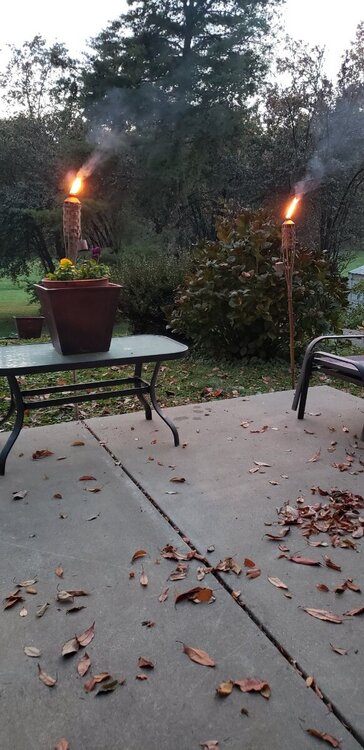 20211110_174325.jpg