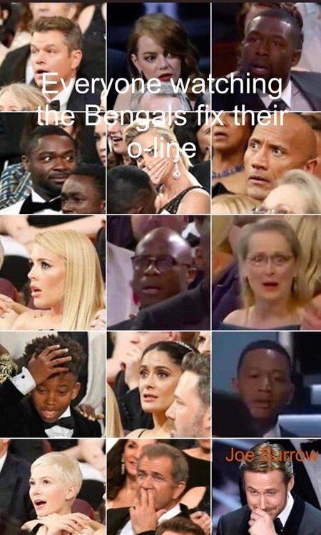 bengals4.jpg