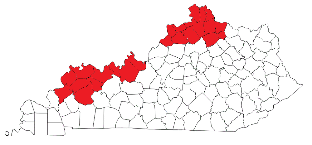 kentucky46A.thumb.gif.79a223c884ba28a9f84f0f264f9d7db0.gif