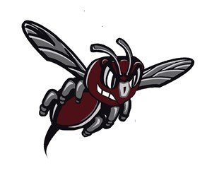 380152793_hornetonlymascot.jpg.da33ab797916d868c02f91f4446fbeb2.jpg