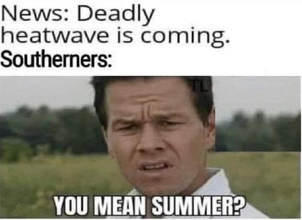 facebook_1655825384923_6945035035286216069_435597862764404.jpg