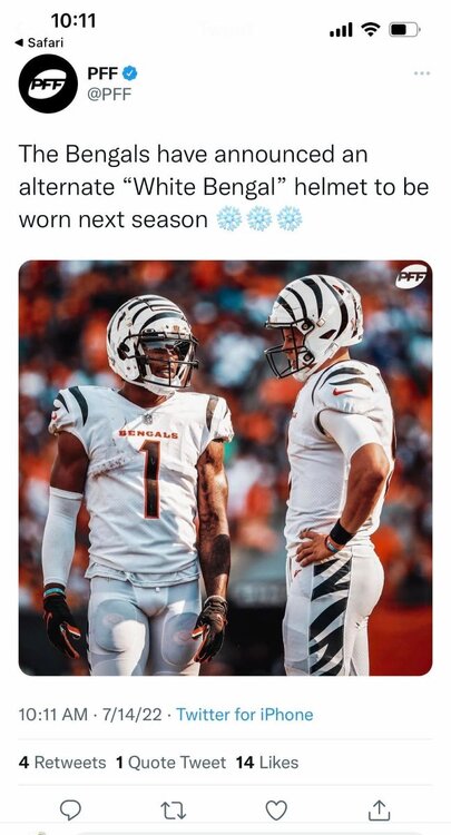 white.jpg