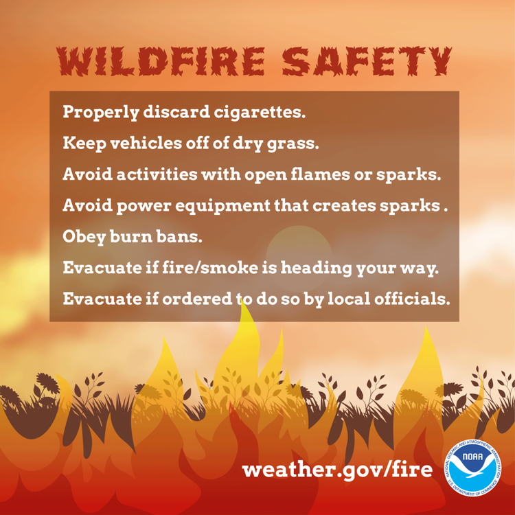 Fire_Safety.thumb.png.da6630f2da9c24d5c4064a8e9fe8b353.png