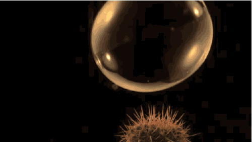 giphy.gif.902c140045e32d1f930b9d7169278840.gif