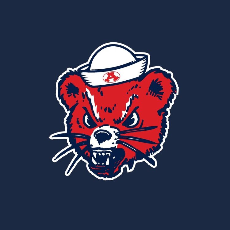 Bearcat-Anderson-Football.thumb.jpeg.9eefd2e4e624de7d6af91100d374f2a6.jpeg