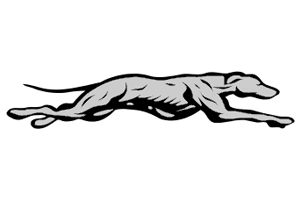 logo.png.48e9de3c9b231674c308ba4c882f5fad.png