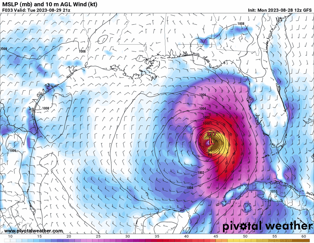 floop-gfs-2023082812.sfcwind_mslp_gom.thumb.gif.57e3984a52d93b31c39c9635aafa0a34.gif