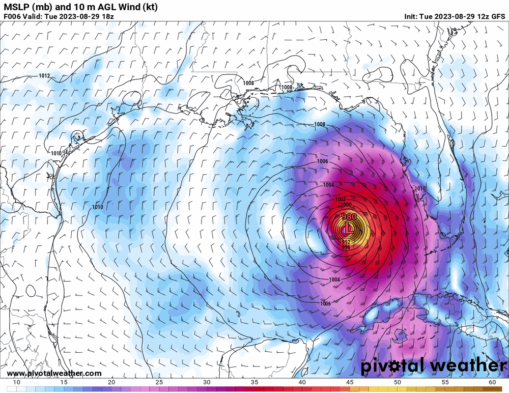 floop-gfs-2023082912.sfcwind_mslp_gom.thumb.gif.af66911324e95f174f852431db755513.gif