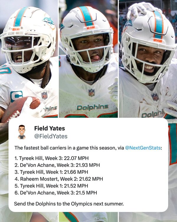 Fins.jpg