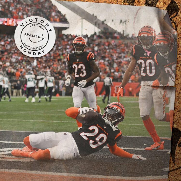 cam.jpg