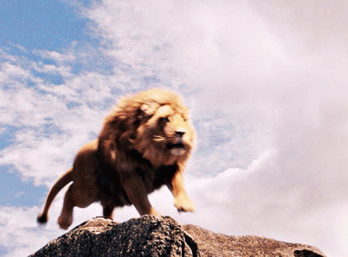 aslan-roar.gif.2f2b756ddfadcf5bf24a040701a6655e.gif