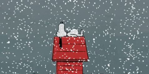 27535f8f597b456d5a1546b8bb92a3c0.gif.a96fc7e9b8e6c6ae4a1fdb8e90e17ec3.gif