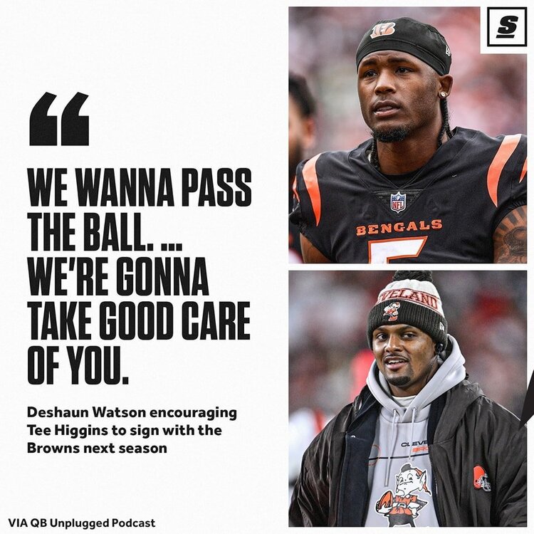 browns1.jpg