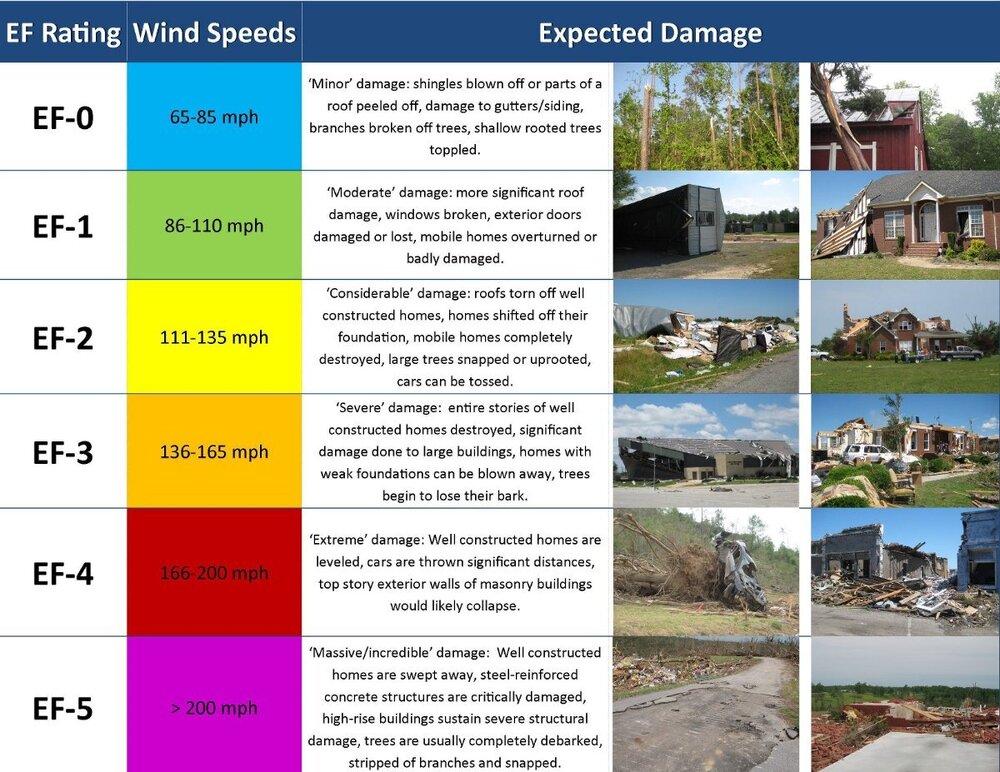 EF-Ratings.thumb.jpg.8de5ceeb8352d657cec0643fe4114683.jpg