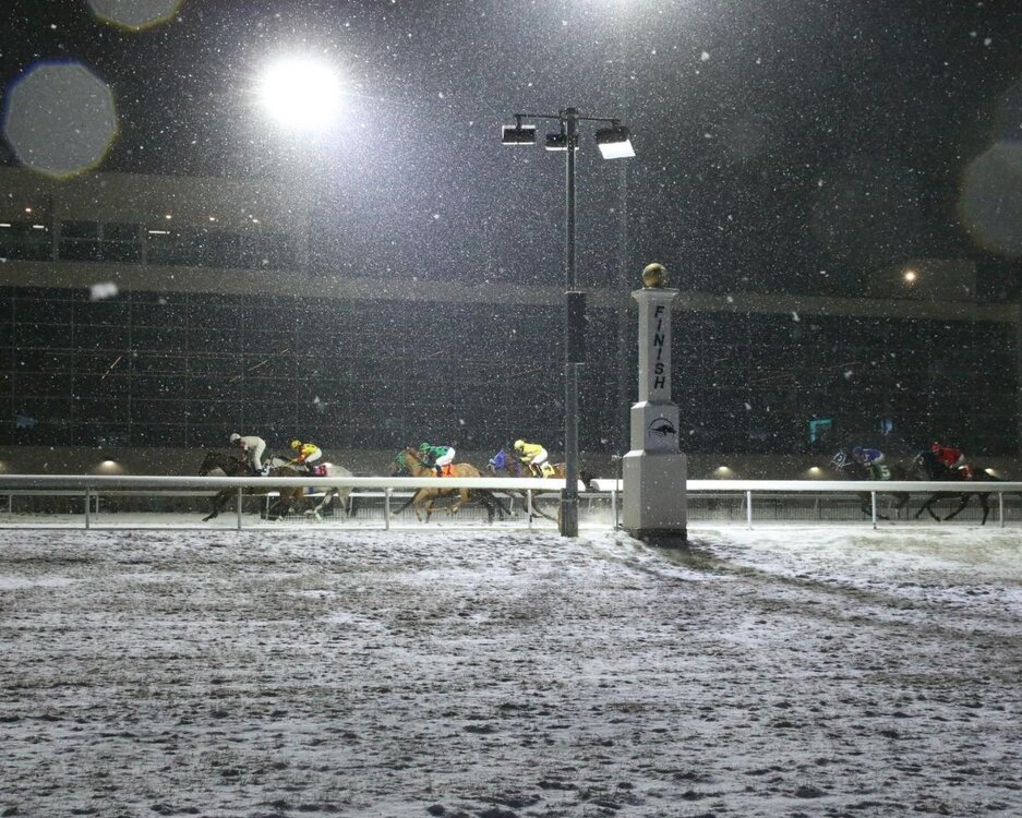 turfway2.jpg