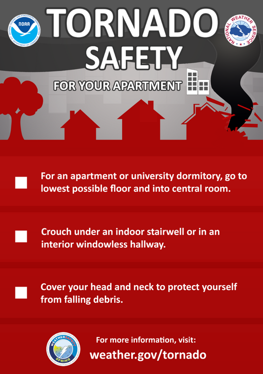 NWS_Tor_Apartment.thumb.png.81c4d31f4d9315f2202a5830799d10b3.png