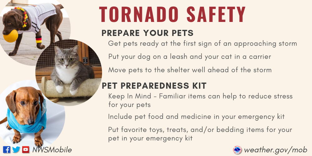 Tips_TorSafety_Pets.thumb.png.97ce4a004956093391dd9b2f640d894f.png