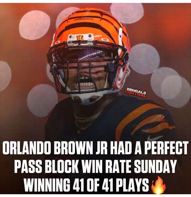 brown.jpg