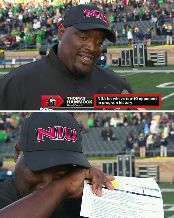 niu.jpg