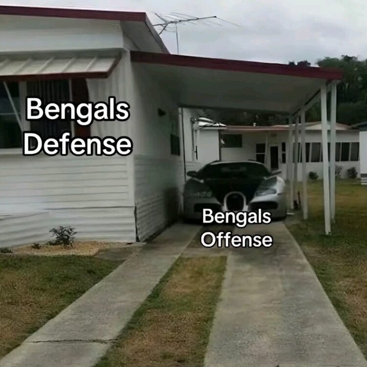 bengalsd.jpg