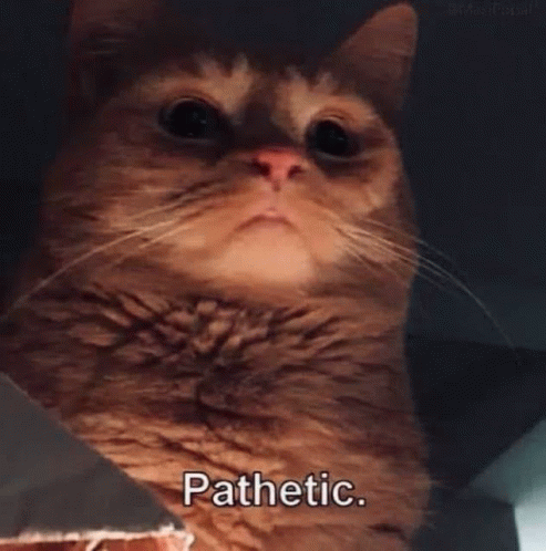 pathetic.gif.aae0031367ef0cc55f4cfd6c6e327b8e.gif