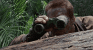 100.gif.2323f9a1baf00030a9d43a7cb5e084a5.gif