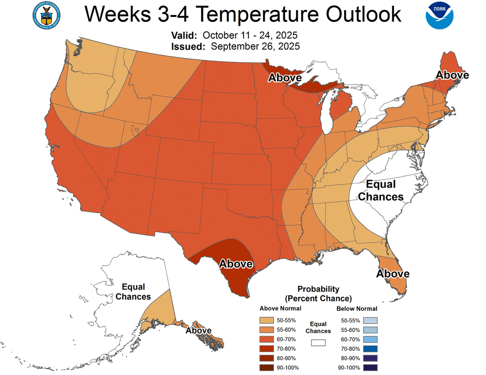 WK34temp.thumb.gif.b86db9d04c49c74de0dd09de536bb202.gif