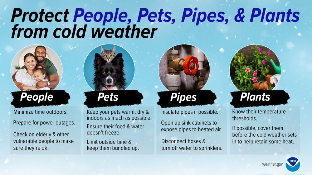 _images_wrn_Infographics_2023_4Ps.thumb.png.930ce8bfd93f17c52290ed6a5ba1529e.png
