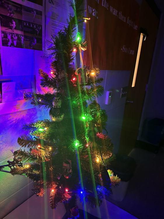 image.thumb.png.2f6b094232afb761aac4bb15a14d131b.png