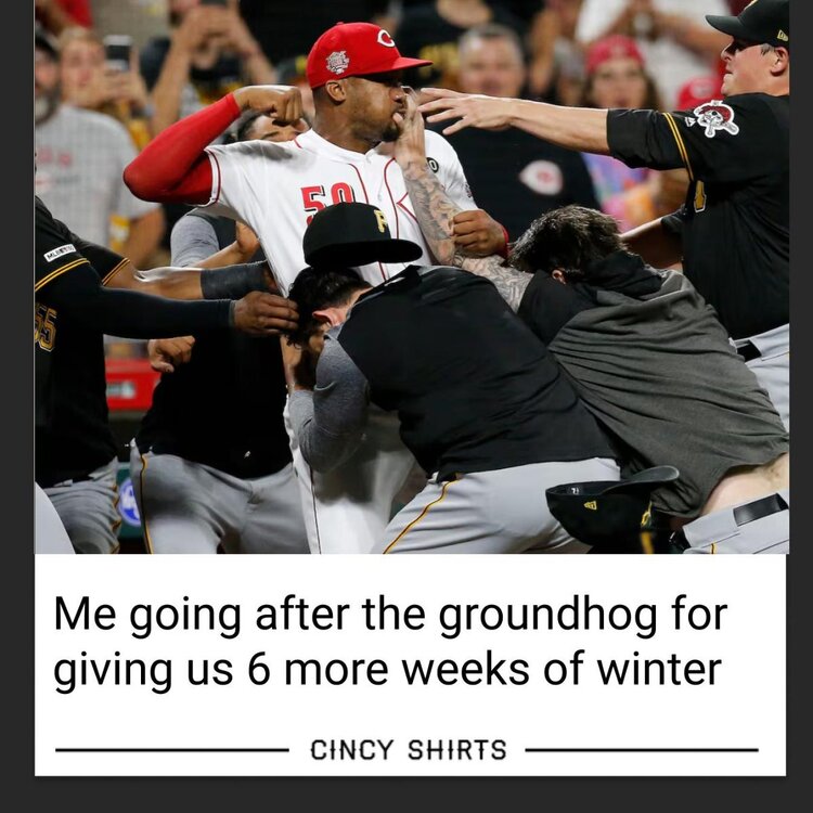 cincyshirts.jpg