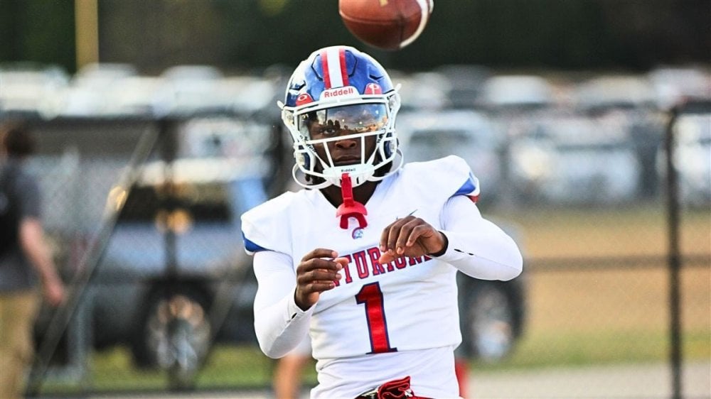 13261484.jpg