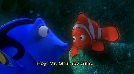 Dory Hey Mr Grumpy Gills.jpeg