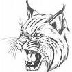 CatsSuperSportsFan