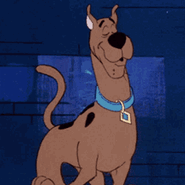 Scooby2323